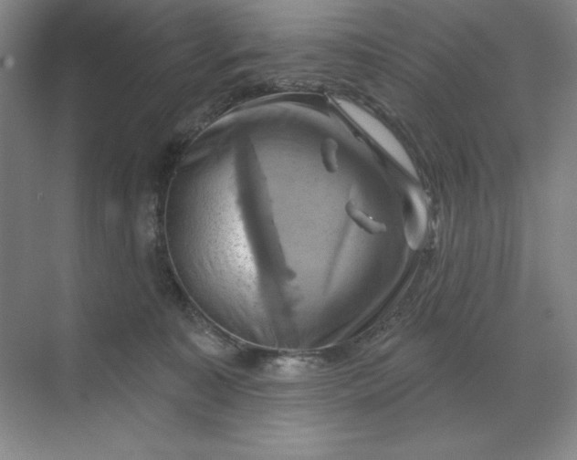 X0000068820323200605191840