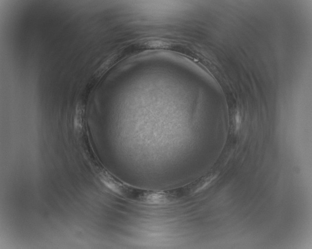 X0000068820325200605191840