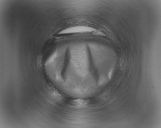 X0000068820326200605191840