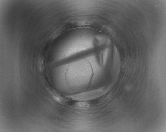 X0000068820327200605191840