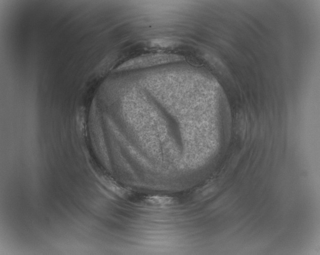 X0000068820328200605191840