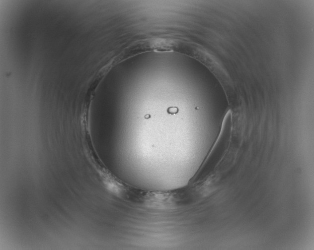 X0000068820329200605191839