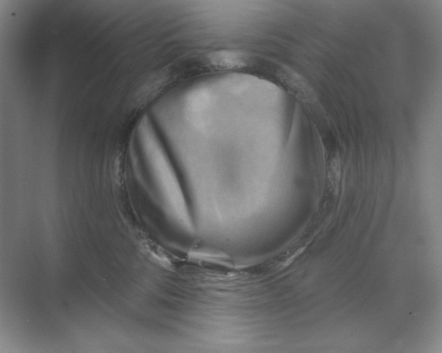 X0000068820330200605191839