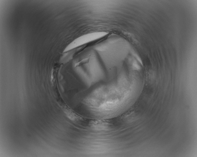 X0000068820331200605191839