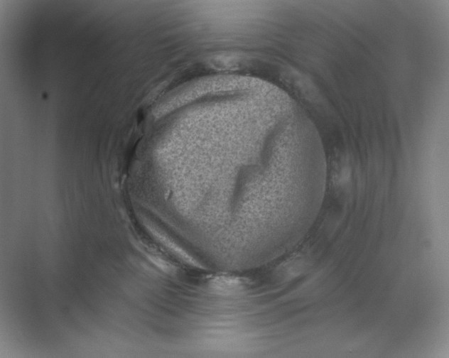 X0000068820332200605191839