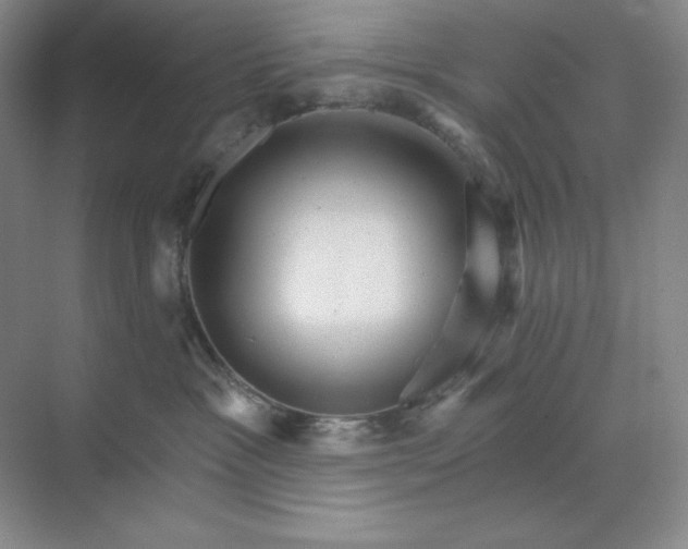 X0000068820333200605191839