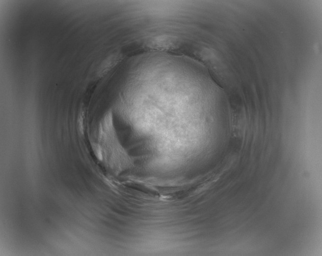 X0000068820334200605191839