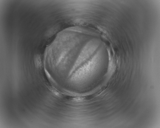 X0000068820335200605191839