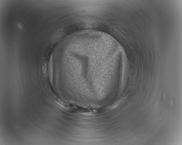 X0000068820336200605191839