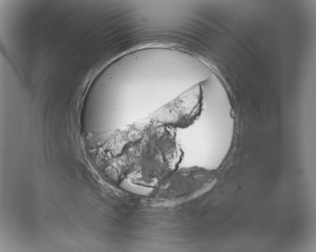 X0000068820337200605191839