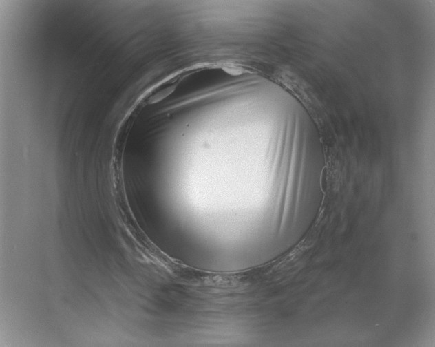 X0000068820338200605191839