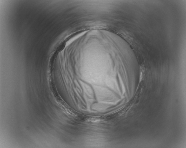 X0000068820339200605191839