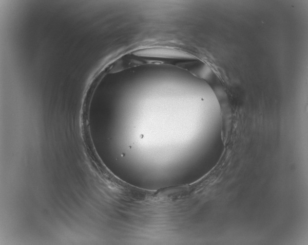 X0000068820340200605191839