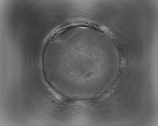 X0000068820341200605191839