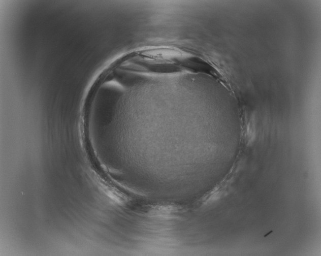 X0000068820342200605191839