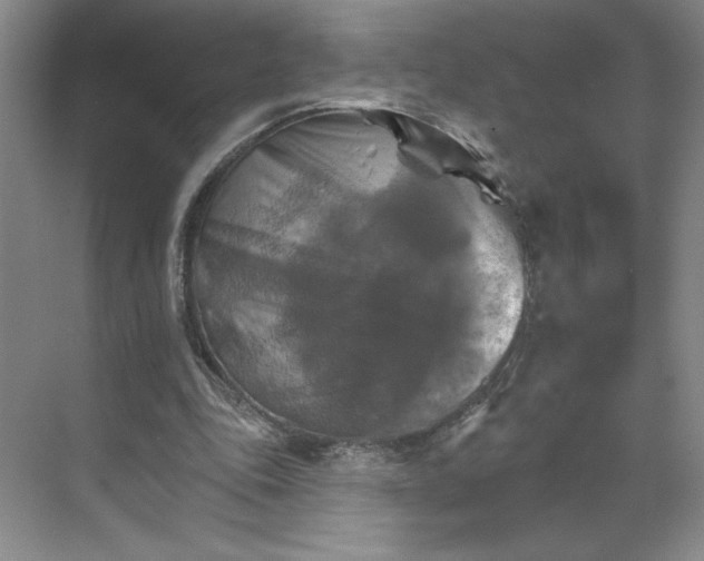 X0000068820343200605191839