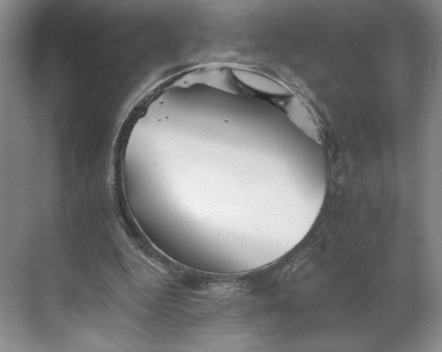 X0000068820344200605191839