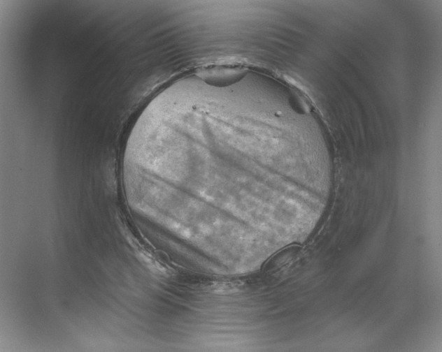 X0000068820345200605191839