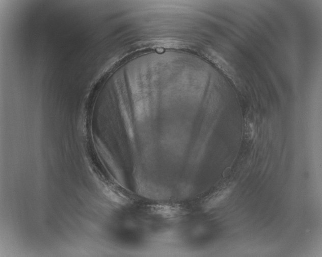 X0000068820347200605191839