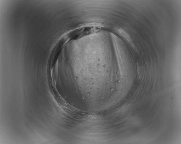 X0000068820348200605191839