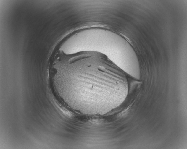 X0000068820350200605191839