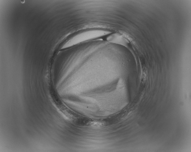 X0000068820352200605191839