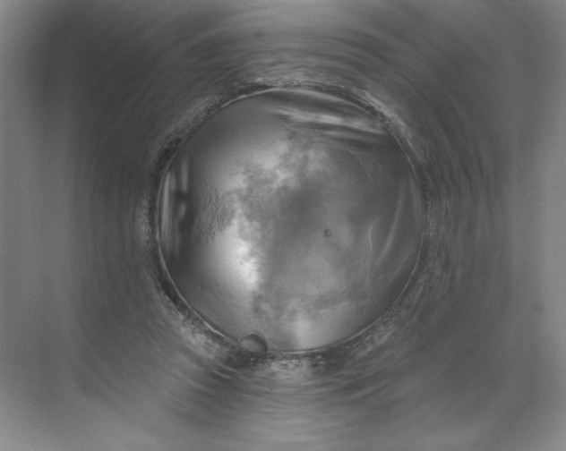 X0000068820353200605191839