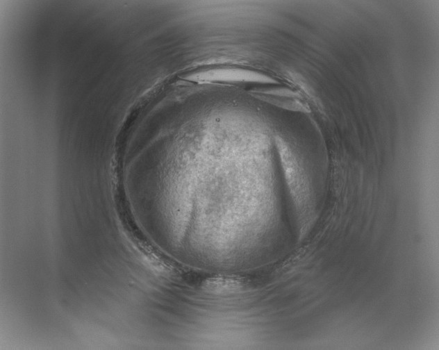 X0000068820354200605191839