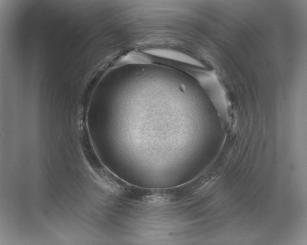 X0000068820356200605191839