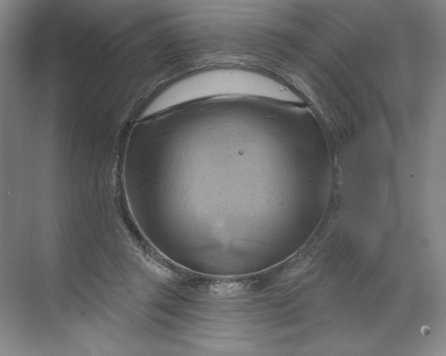 X0000068820357200605191839