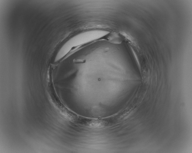 X0000068820358200605191839