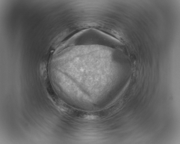 X0000068820360200605191839