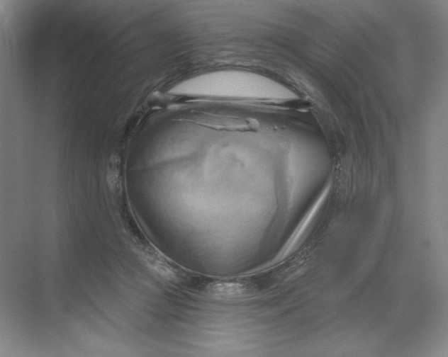 X0000068820361200605191839