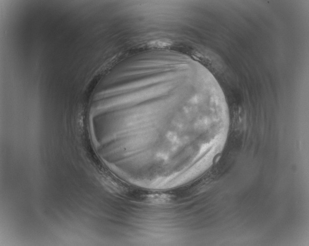 X0000068820363200605191839