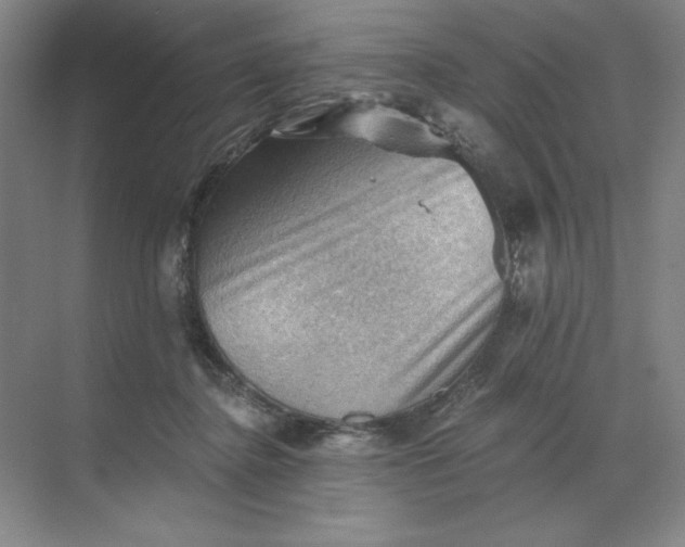 X0000068820364200605191839