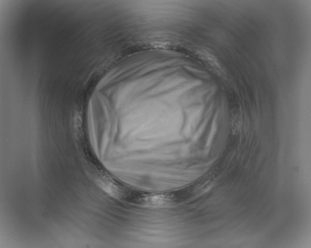 X0000068820365200605191839