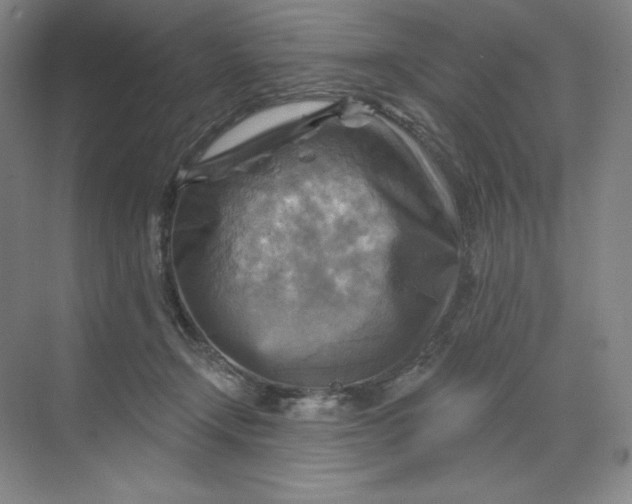 X0000068820366200605191839