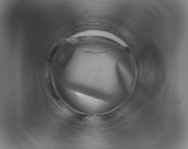 X0000068820367200605191839