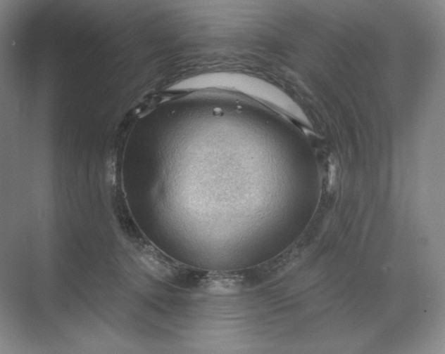 X0000068820368200605191839