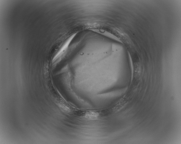 X0000068820369200605191839