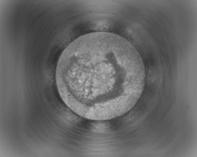 X0000068820370200605191839