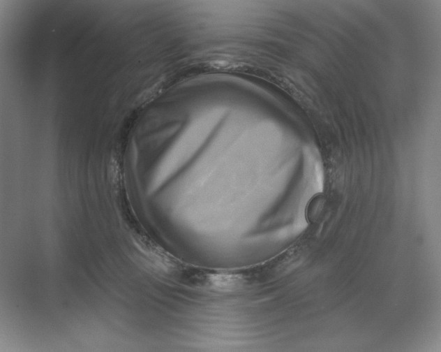 X0000068820371200605191839