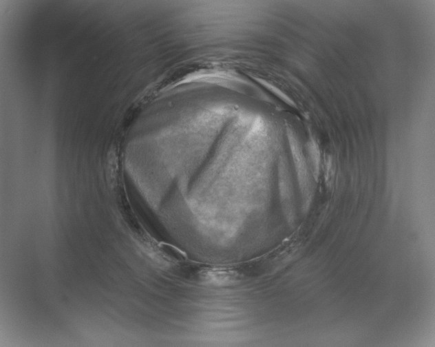 X0000068820372200605191839