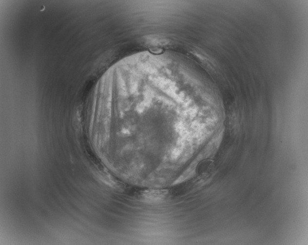 X0000068820373200605191839