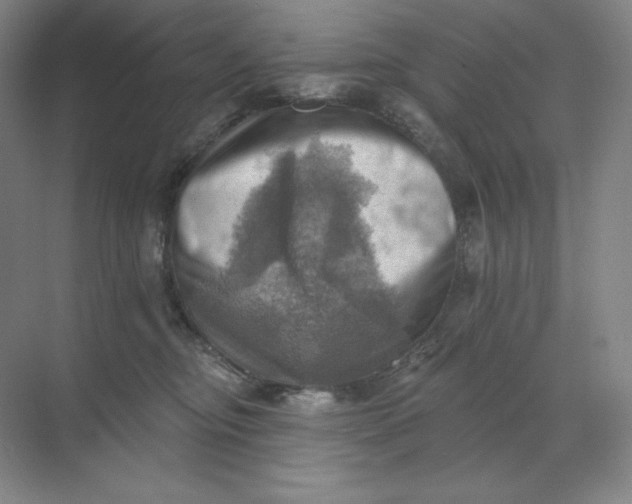 X0000068820374200605191839