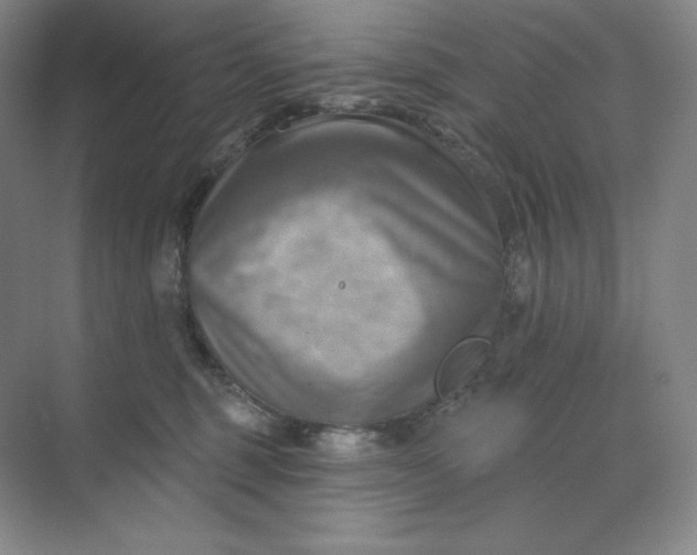 X0000068820375200605191839