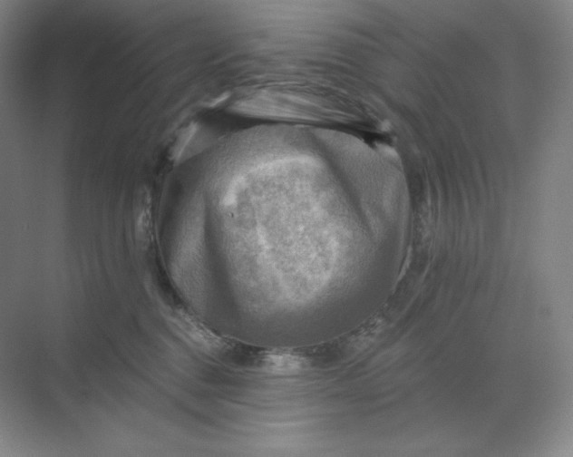 X0000068820376200605191839