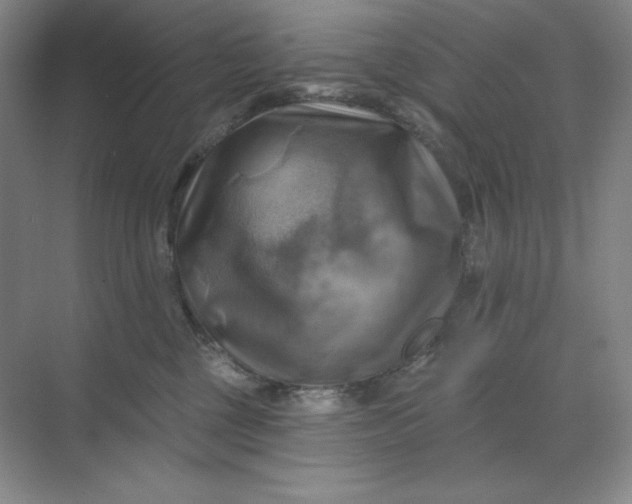 X0000068820377200605191839