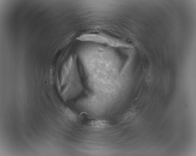 X0000068820378200605191839