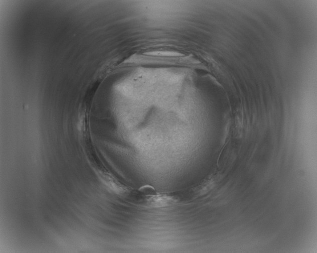 X0000068820379200605191839